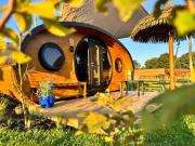 Magnolia Hoeve - Unieke Bestemming voor Paardenliefhebbers en Bijzondere Overnachtingen in de natuur