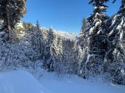 Crans-Montana Chalet dans la nature ski in ski out