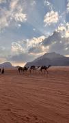 Wesam Wadi Rum lodge