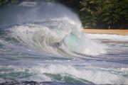Top Kahuku