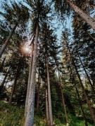 Black Cabin Pohorje - Luxury Retreat