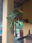 Top São José dos Campos
