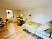 Stylish private-entrance studio with bath and shower near Nijmegen Centre