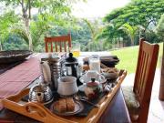 Elmadel Coffee Gardens 5Bedroom Villa Mua Hills 50kms from Nairobi