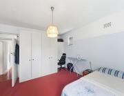 The pearls of durban