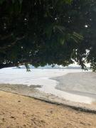Top Ko Chang