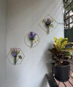 Luxury 1BHK Cozy Ambience Pool Full Kitchen