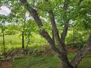 Top Sainte-Croix-de-Verdon Top Sainte-Croix-de-Verdon