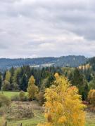 Top Rabča Top Rabča