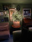 Hidden gem in heart of Breckland Hidden gem in heart of Breckland