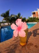 Top Auroville