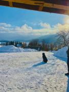 Top Grzmiąca Top Grzmiąca