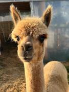 Top Plouër-sur-Rance