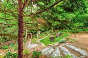 Top Blowing Rock