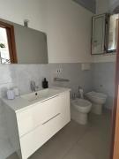 il suono della conchiglia