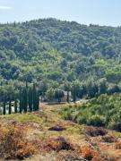 Top Monteverdi Marittimo