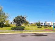 Top San Francisco Tesistán