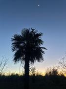 Complejo de Cabañas Quintana Cochera Cocina Wifi Smartv Aire Acondicionado