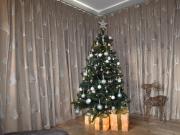 3 Bed in Combe Martin 41580