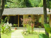 Payapa garden Nagtabon Beach