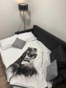 apartment in downtown Mexico City