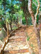 Top Tiradentes