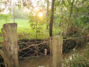 Top Mwangarimwe Top Mwangarimwe