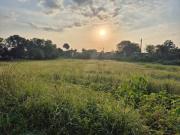 Top Sehore