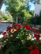 Top Santa-Reparata-di-Balagna