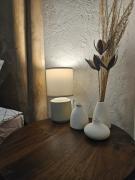 Urban oasis apartments