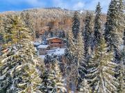 Chalet Ysalpe - Vue montagne hammam sauna jacuzzi et salle cinéma