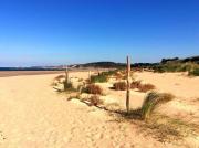 104 - Studio, dans une résidence les pieds dans leau à Sables Dor Les Pins