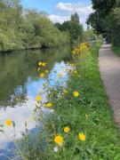 Woodrow close Woodrow close