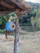 Fechada para hospedes