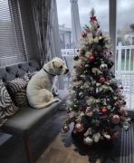 Sea Breeze, Luxury Lodge, Parkdean Resort Southview, Skegness, Dog Friendly - East Coast Holidays