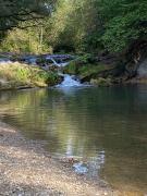 Top Solina Top Solina