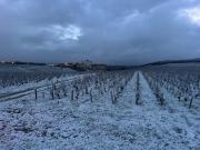 Maison Palomase en plein cœur de Sancerre