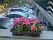 Top Campos do Jordão