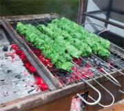 The Whistling Pine Woods