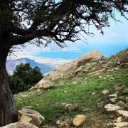 Top Terme Vigliatore