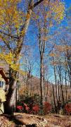 Top Montreat