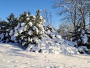 Top Sankt Andreasberg