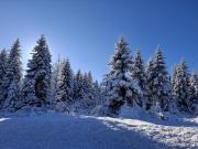 Top Schulenberg im Oberharz