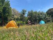 Top Quilán Top Quilán