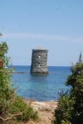Top Patrimonio
