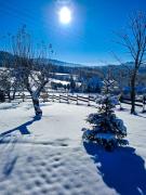 Top Kurów Top Kurów