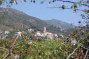 Top Patrimonio