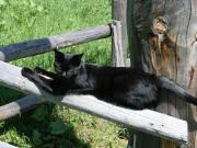 Top Sta Maria Val Müstair