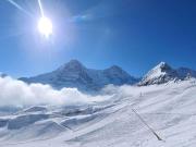 Top Grindelwald