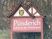 Pünderich Castle View